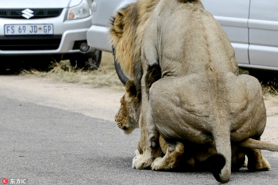 华为MateS是什么型号 华为MateS手机怎么样