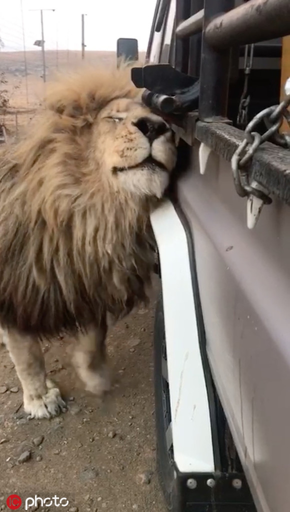 什么是动物保护 pJiO-huqrnap3174941.jpg