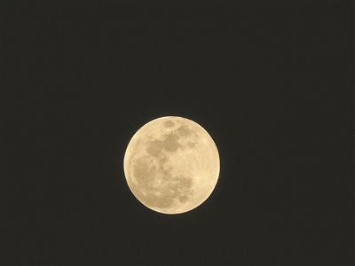 如果你已错过今年元旦的超级月亮，没关系！1月31日月亮女神上演“月全食血月+超级月亮+蓝月”三景合一天文奇观，150多年一遇！