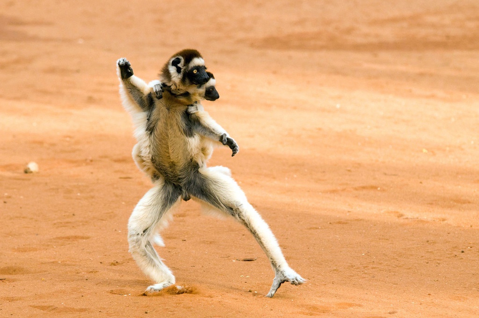 拜仁慕尼黑球衣