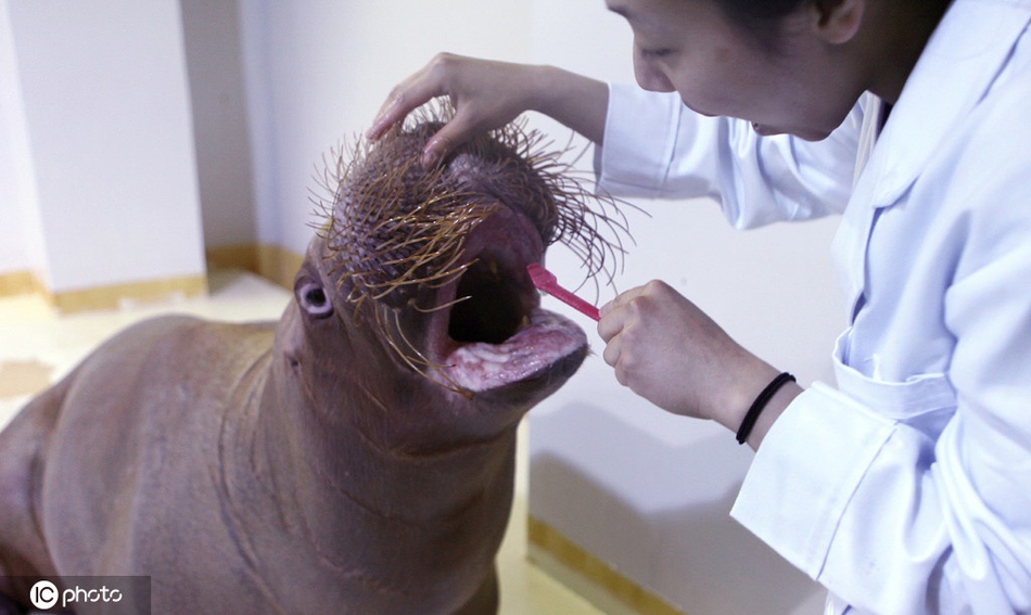 老甲a联赛-爱游戏app（中国）官方网站下载_ayx体育app下载