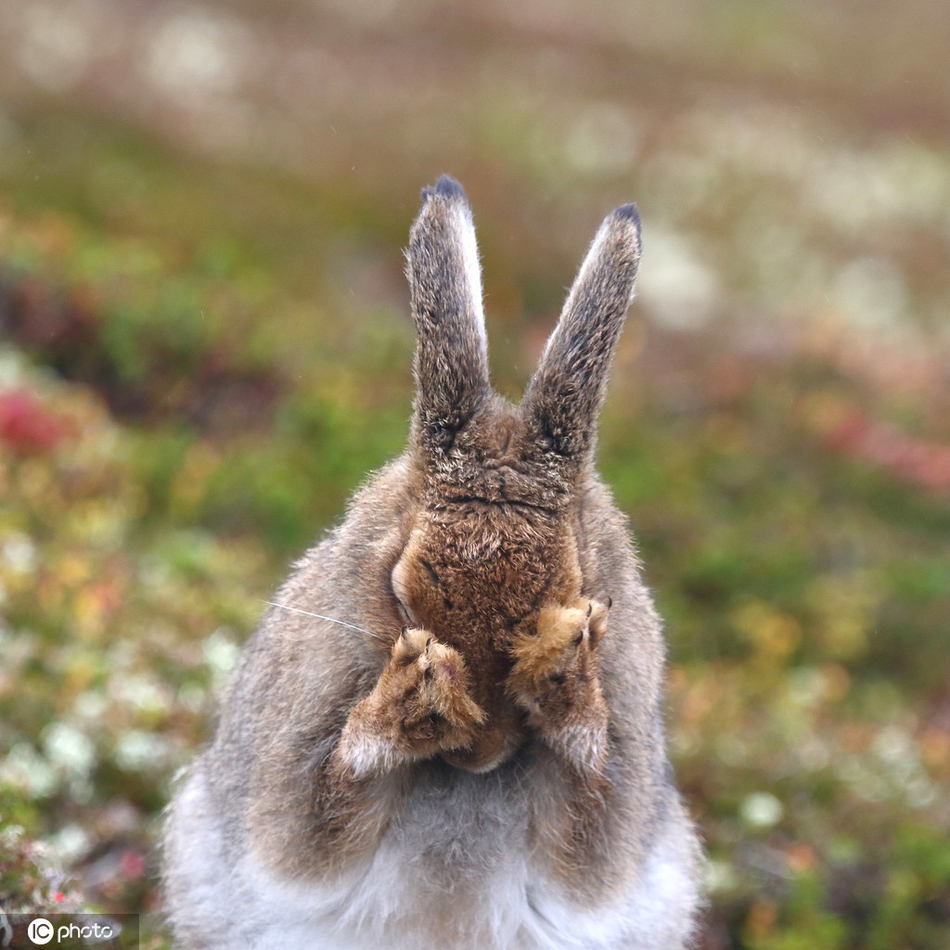 成都斯诺克国际锦标赛-乐鱼app(leyu)官方网站-乐鱼官网