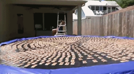 1 / 7 youtube知名慢动作频道slow mo guys上传了一段小视频,向我们