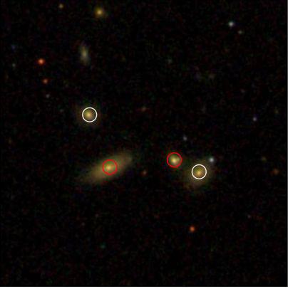 图2：一个典型的结合斯隆数字巡天和郭守敬望远镜巡天数据证认的致密星系群。其中白色圈出来的星系是由斯隆数字巡天提供的光谱观测，红色圈出来的星系光谱则是由郭守敬望远镜巡天提供
