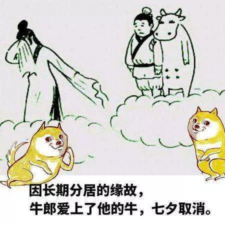 89d6-iyhvyuz5500664.jpg
