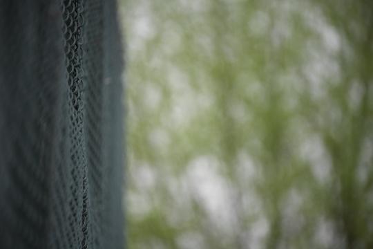 400mm F4虚化效果