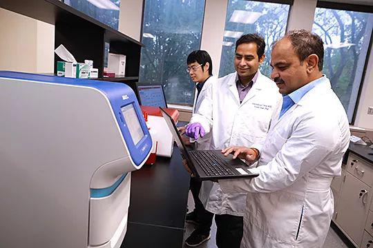 科学家首次发现菊粉等可溶性膳食纤维会引发肝癌