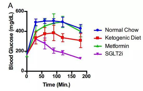 生酮饮食（绿）和SGLT2抑制剂（紫）降糖效果都不错