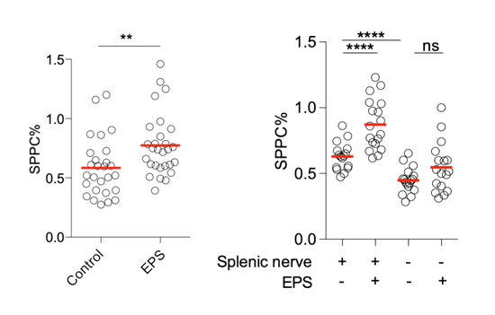 Control：对照组，EPS：
