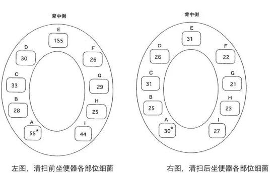 （图片来源：参考文献2）