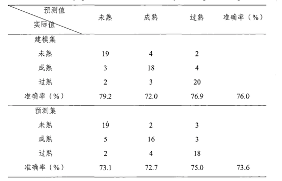 三种不同成熟度西瓜的 LS-SVM 分类结果