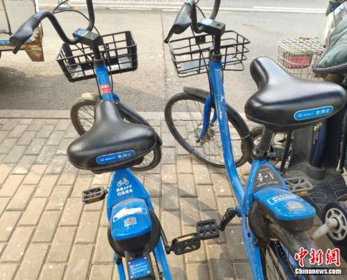 北京街头的小蓝单车。张旭 摄