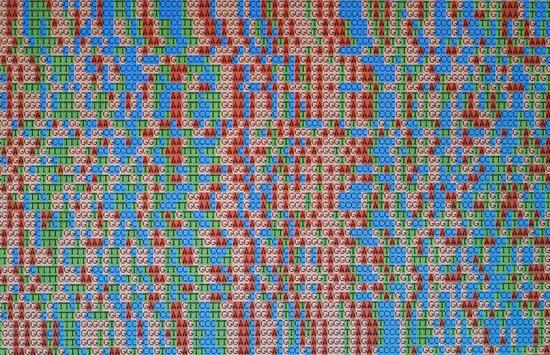 在人类基因组项目完成十多年后，鉴定基因仍然是一个挑战。来源：Alan Phillips/ Getty