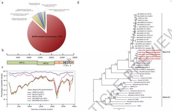 Fig。 1 | Genome characterization of 2019-nCoV。 a,奥迪互动培训平台 pie chart showing metagenomics analysis of next-generation sequencing of bronchoalveolar lavage fluid from patient ICU06。 b, Genomic organization of 2019-nCoV WIV04。 c, Similarity plot based on the full-length genome sequence of 2019-nCoV WIV04。 Full-length genome sequences of SARS-CoV BJ01, bat SARSr-CoV WIV1,bat coronavirus RaTG13 and ZC45 were used as reference sequences.d, Phylogenetic tree based on nucleotide sequences of complete genomes ofcoronaviruses。 Software used and settings can be found in material and method section。