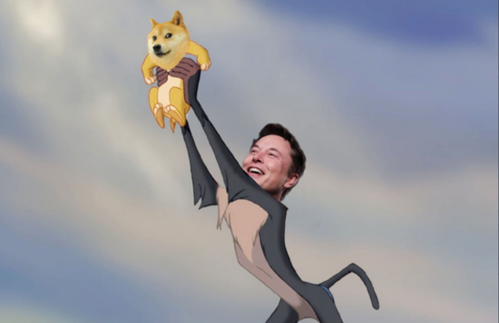 Elon &amp； Doge coin