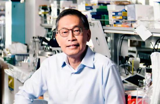 邓文志学者相信,如果将身体的昼夜节律也纳入考虑范畴,肿瘤的治疗会更高效,毒性也会更小。(图片来源:WISTAR INSTITUTE)