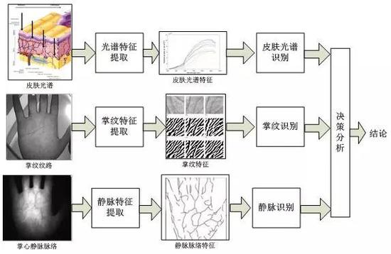 多光谱掌纹识别流程图