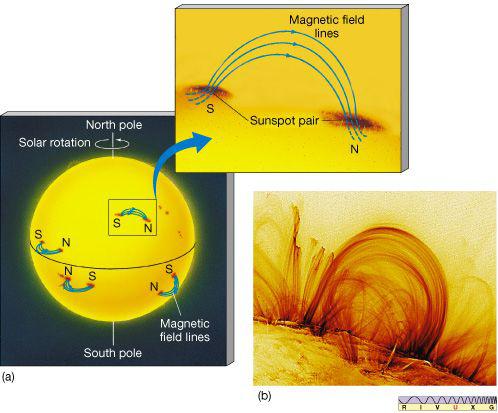 太阳黑子上方的磁场结构。（来源：亚利桑那大学）