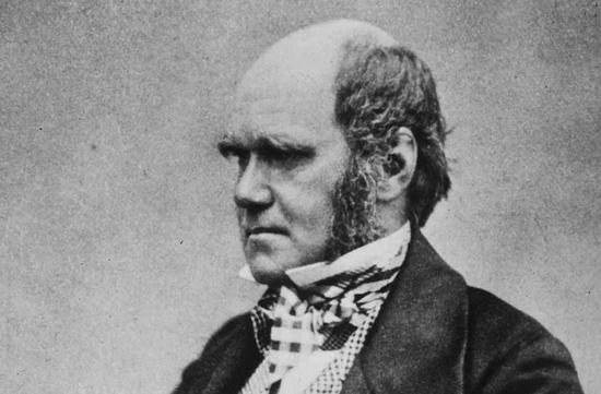 人们眼中“聪明绝顶”的人物，达尔文便是其中一个  图片来源：（Wikimedia Commons）