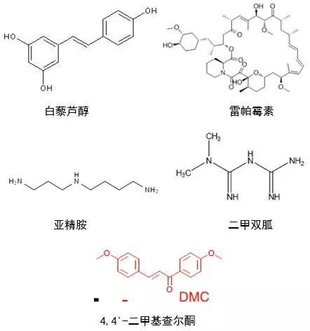 各大“不老神药”真身 (图片来源:网络)