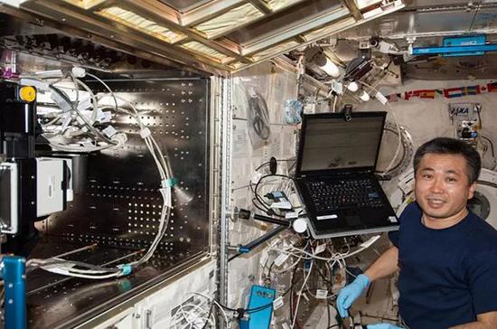 Flight Engineer Koichi Wakata works to activate the Multi-Purpose Small Payload Rack (MSPR) Hub unit and install the Medaka Chamber in the fluorescent microscope for observation of a Medaka sample。 飞行工程师Koichi Wakata将Medaka室安装在荧光显微镜中观察Medaka样品。 (图片来源: NASA)