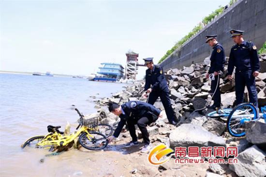 东湖区城管执法局联手多家部门打捞水下单车