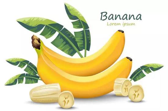 香蕉插画（来源：Freepik.com）