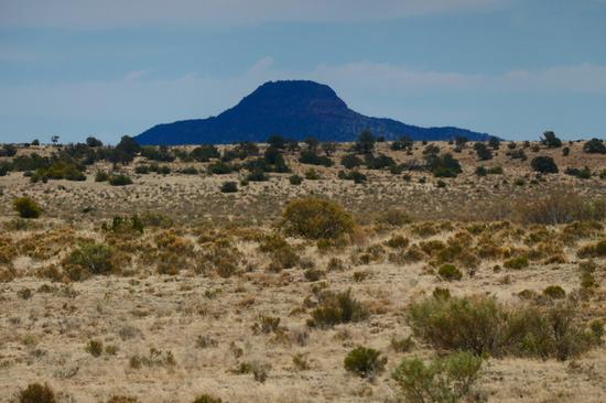 【博狗扑克】1英寸CMOS配15X光学变焦徕卡镜头 松下ZS220相机评测 【博狗扑克】1英寸CMOS配15X光学变焦徕卡镜头 松下ZS220相机评测