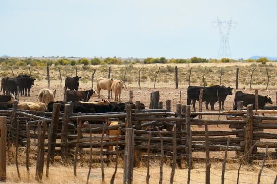【博狗扑克】1英寸CMOS配15X光学变焦徕卡镜头 松下ZS220相机评测 【博狗扑克】1英寸CMOS配15X光学变焦徕卡镜头 松下ZS220相机评测