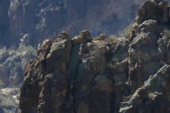 【博狗扑克】1英寸CMOS配15X光学变焦徕卡镜头 松下ZS220相机评测 【博狗扑克】1英寸CMOS配15X光学变焦徕卡镜头 松下ZS220相机评测