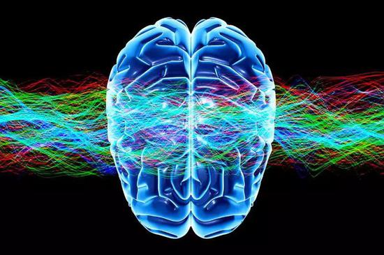 大脑如何产生自由意识？源于其原子核自旋的相互纠缠