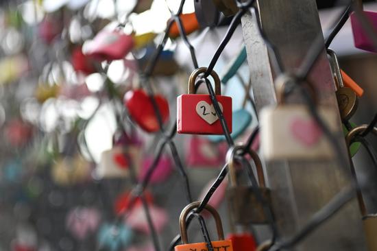 焦距:50mm　 光圈:f/1.8　 ISO感光度:100