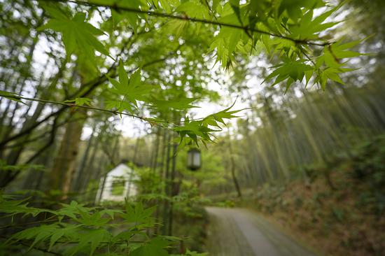 ���ࣺ14mm ISO��280 ��Ȧ��F4 ���ţ�1/160s