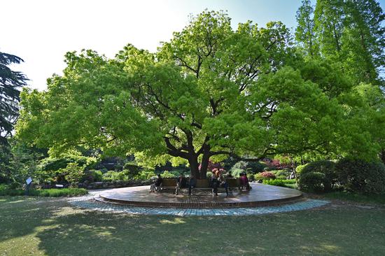 ���ࣺ20mm ISO��100 ��Ȧ��F4 ���ţ�1/400s