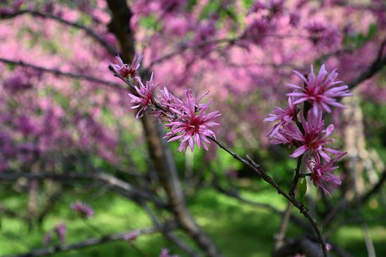 ���ࣺ30mm ISO��100 ��Ȧ��F4 ���ţ�1/320s