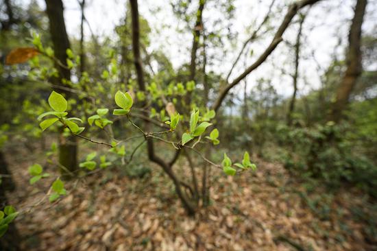 ���ࣺ14mm ISO��220 ��Ȧ��F4 ���ţ�1/160s