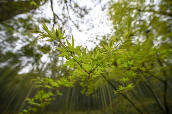 ���ࣺ14mm ISO��100 ��Ȧ��F4.5 ���ţ�1/160s