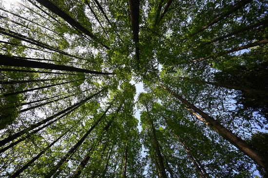 ���ࣺ14mm ISO��100 ��Ȧ��F4 ���ţ�1/400s