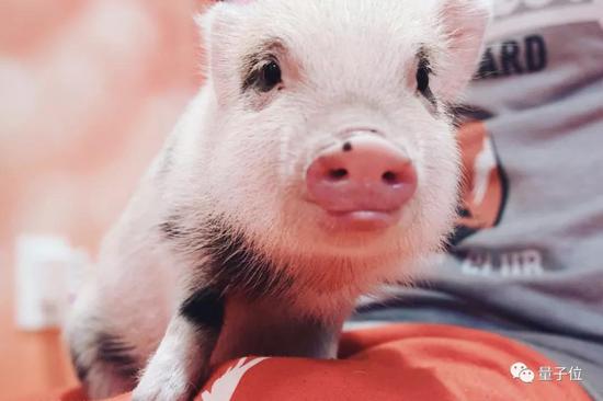 �����˵�������һ�ڵ�Science Robotics�ӿ���