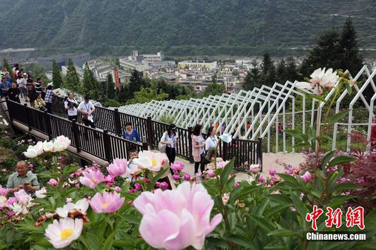 2018年4月30日，汶川青山绿水鲜花盛开，吸引游客观光。 中新社记者 任海霞 摄