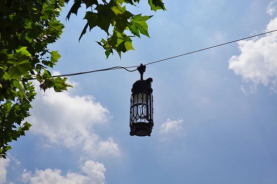 焦距:44mm ISO:100 光圈:F4 快门:1/2500s