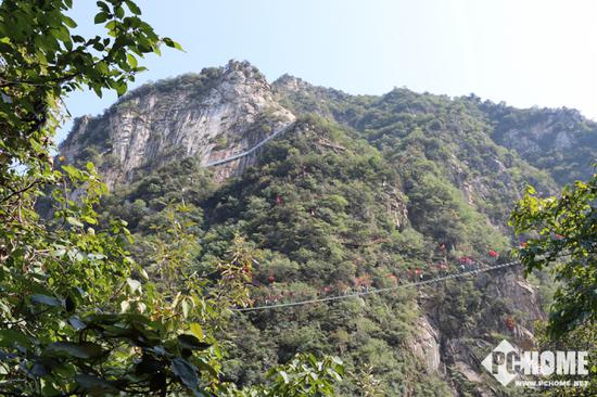 网赌能补天吗 讲好中国故事需要更多“李子柒”