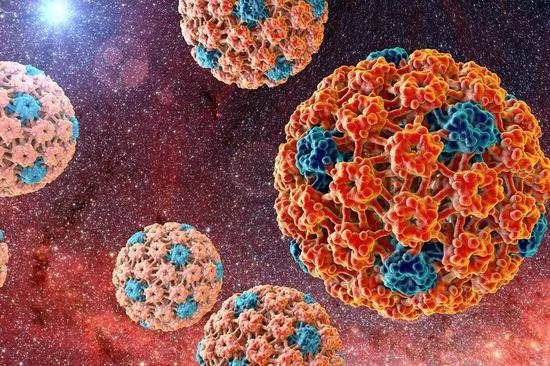  ▲一些高危型HPV病毒可以引起多种癌症（图片来源：123RF）