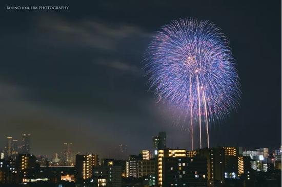 蓝色烟花（图源：林文城）