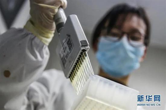 资料图:工作人员进行新型冠状病毒灭活疫苗IgG抗体效价检测。来源:新华社