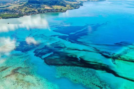 自8月6日以来，若潮号约有1000吨石油在毛里求斯附近海域泄漏。来源：Pierre Dalais/EPA-EFE/Shutterstock。