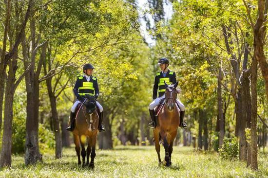 马路不让骑马，电气无关气体，奇奇怪怪的科技词语从哪来？|磁石论