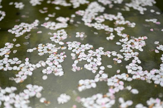 Ȧ ῵Z50mm F1.2