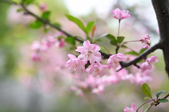 Ȧ ῵Z50mm F1.2