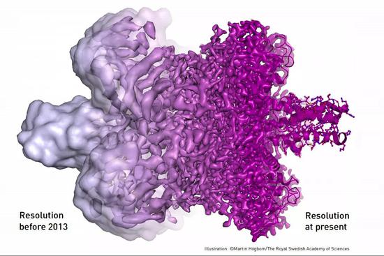  2013年之前与之后冷冻电镜分辨率的对比图。| 来源：Martin Högbom/The Royal Swedish Academy of Sciences